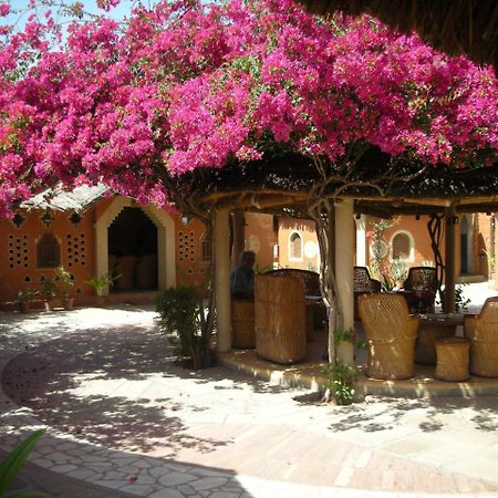 Apani Dhani Eco-Lodge Nawalgarh Zewnętrze zdjęcie
