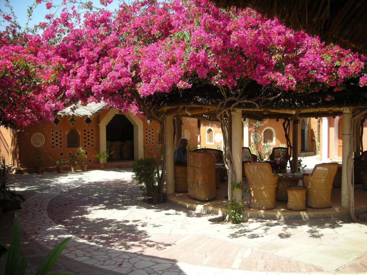Apani Dhani Eco-Lodge Nawalgarh Zewnętrze zdjęcie